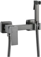 Гигиенический душ со смесителем Raffine F237T, оружейная сталь