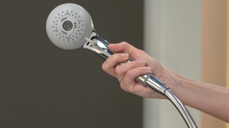Ручной душ Hansgrohe Crometta 28563000 Хром 
