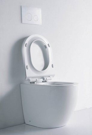 Унитаз приставной Aquanet Cetus-F 