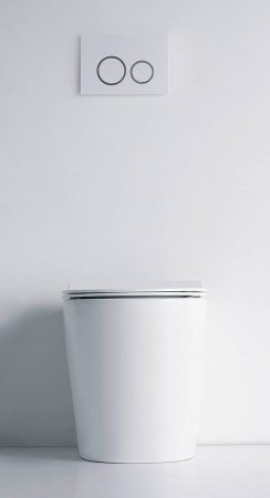 Унитаз приставной Aquanet Atago-F 