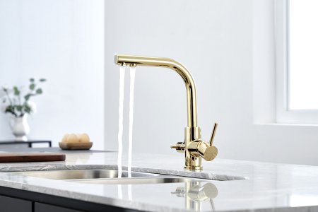 Смеситель Paulmark Essen Es213011-G для кухонной мойки, золото 