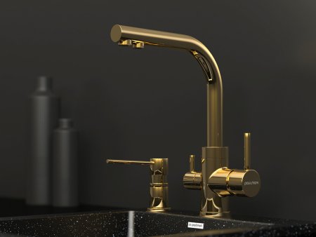 Смеситель Paulmark Essen Es213011-G для кухонной мойки, золото 