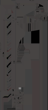 Душевая система BELZ золотой (B24715-5) 