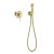 Гигиенический душ Timo Saona 2389/17SM со смесителем, золото матовое 