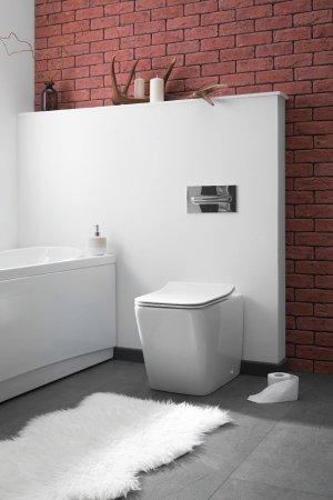 Унитаз приставной Aquanet Tavr-F 