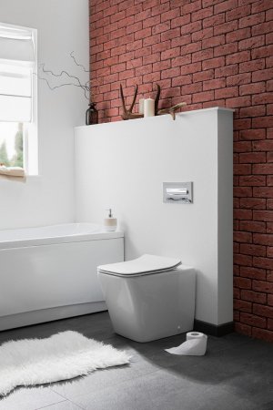 Унитаз приставной Aquanet Tavr-F 