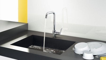 Смеситель для кухонной мойки Hansgrohe Focus 31820000 