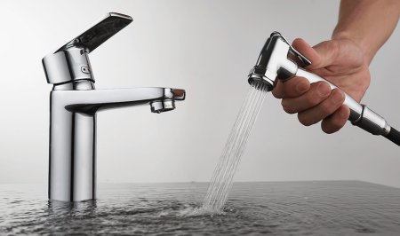 Смеситель D&K Lessing Rhein DA1322601 для раковины, с гигиеническим душем 