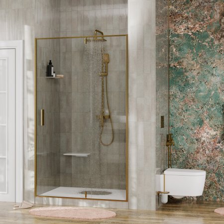 Душевая дверь в нишу WasserKRAFT Aisch 55P04 90 