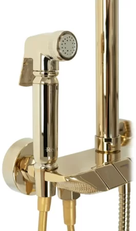 Душевая система 250 мм Rea Max REA-P6617 