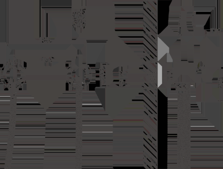 Смеситель BELZ с гигиенической лейкой (B55803) 