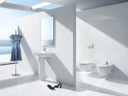 Унитаз Roca Meridian 346247000 подвесной без сиденья 