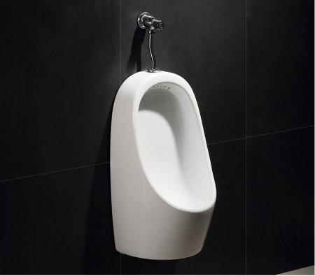 Писсуар CeramaLux X541P подвесной 