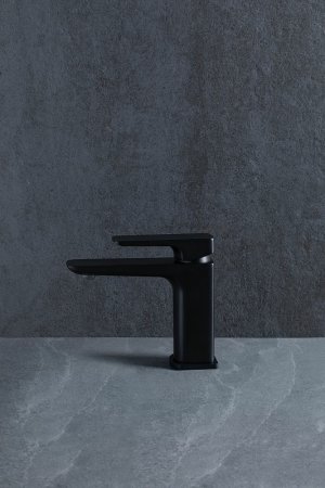 Смеситель для раковины Allen Brau Infinity 5.21001-31 Черный матовый 