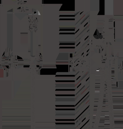 Смеситель BELZ с гигиенической лейкой золотой (B55807-5) 