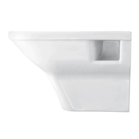 Унитаз подвесной Santek Лайн 1WH501574 с горизонтальным выпуском, безободковый 