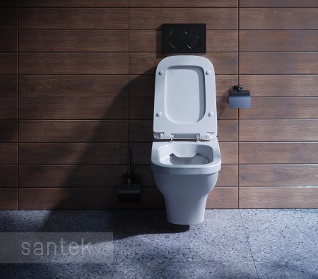 Унитаз подвесной Santek Лайн 1WH501574 с горизонтальным выпуском, безободковый 