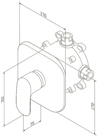 Смеситель для душа AM.PM Sensation F3075000 хром 