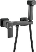 Гигиенический душ со смесителем Rose R2805H-1, черный