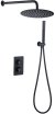 Душевая система Allen Brau Priority 5.31013-31 с термостатом Черная матовая 
