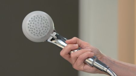 Ручной душ Hansgrohe Crometta 28562000 Хром 