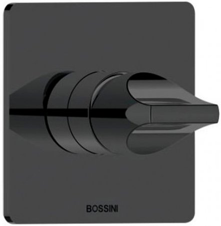 Смеситель для душа Bossini Apice Z00504.073 Черный матовый 