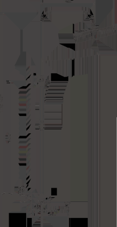 Душевая система BELZ золотой (B25713-5) 