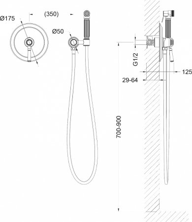 Гигиенический душ Timo Arisa 5309/03SM со смесителем, черный 