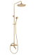 Душевая система настенная Deante TEMISTO NAC_M1QT бронза 