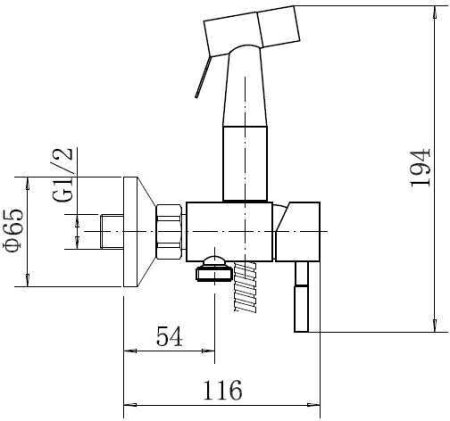 Смеситель настенный с гигиенической лейкой FASHUN (A57504) сатин 