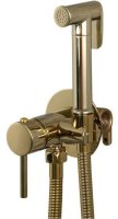 Гигиенический душ со смесителем Frap F7505-3 Золотой
