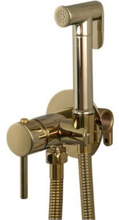 Гигиенический душ со смесителем Frap F7505-3 Золотой 