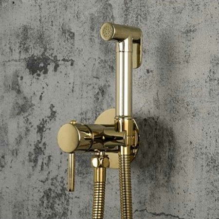 Гигиенический душ со смесителем Frap F7505-3 Золотой 