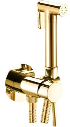 Гигиенический душ со смесителем Webert Sax Evolution SE870303010 Золото 