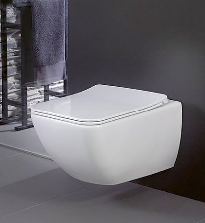 Унитаз подвесной Villeroy & Boch Venticello 4611RL01 альпийский белый 