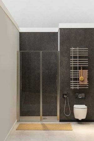 Душевая дверь Allen Brau Priority 120 3.31032.BA профиль Серебро браш стекло прозрачное 