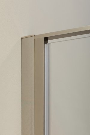 Душевая дверь Allen Brau Priority 120 3.31032.BA профиль Серебро браш стекло прозрачное 