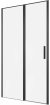 Душевая дверь Allen Brau Priority 120 3.31033.BBA профиль Черный браш стекло прозрачное 