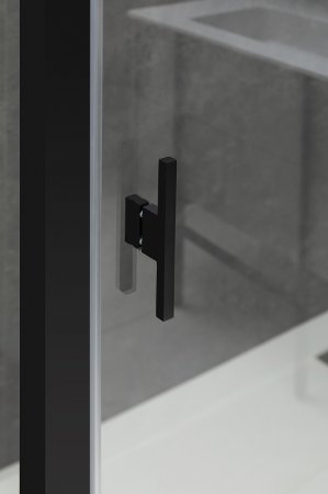 Душевая дверь Allen Brau Priority 120 3.31033.BBA профиль Черный браш стекло прозрачное 