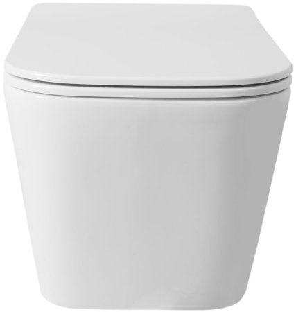 Подвесной безободковый унитаз с сиденьем микролифт Rea Raul REA-C9660 