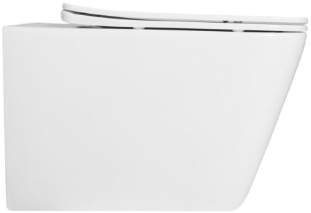 Подвесной безободковый унитаз с сиденьем микролифт Rea Raul REA-C9660 