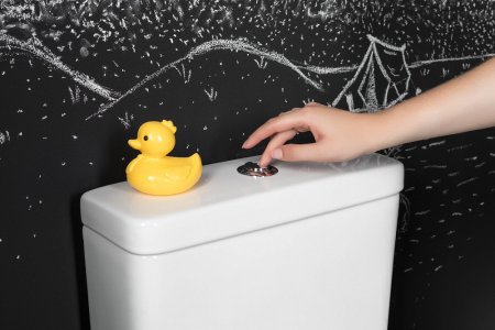 Унитаз-компакт Aquanet Cetus 