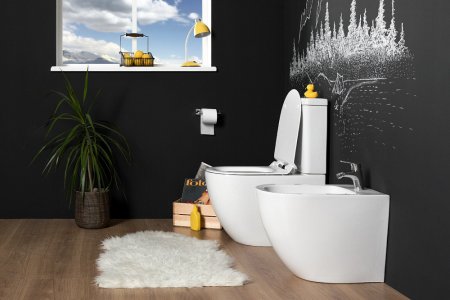 Унитаз-компакт Aquanet Cetus 