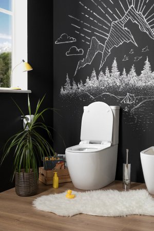 Унитаз-компакт Aquanet Cetus 