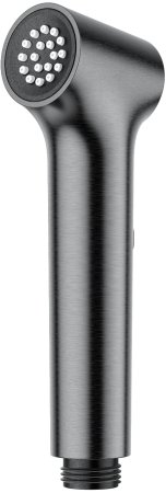 Лейка для гигиенического душа Raglo R460.05.09, графит 