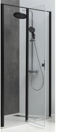 Душевая дверь Allen Brau Priority 160 3.31039.BBA профиль Черный браш стекло прозрачное 