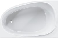 Акриловая ванна AM.PM Like 170x110 L W80A-170L110W-A без гидромассажа Акриловая ванна AM.PM Like 170x110 L W80A-170L110W-A без гидромассажа