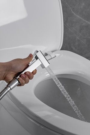 Гигиенический душ со смесителем Allen Brau Infinity 5.21005-00 Хром 