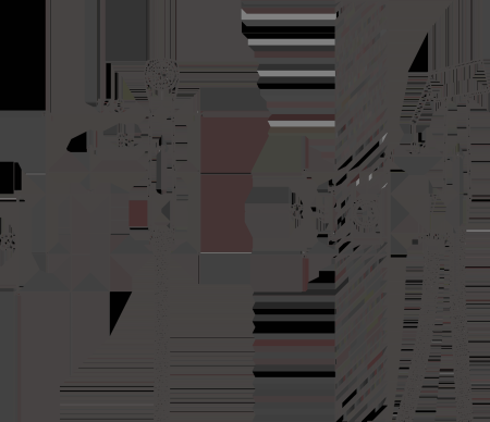 Смеситель BELZ с гигиенической лейкой золотой (B55808-5) 